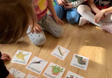 Powiększ obraz: Grupy Montessori - Dzień Dinozaura