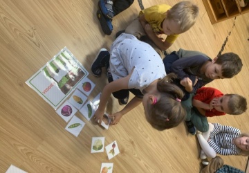 Powiększ obraz: Grupy Montessori - Owoce i warzywa